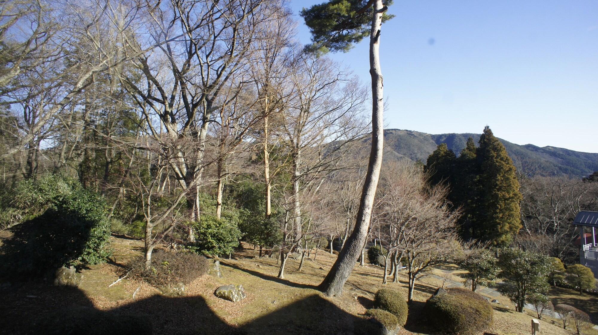 Hakone Forest Of Verde Экстерьер фото